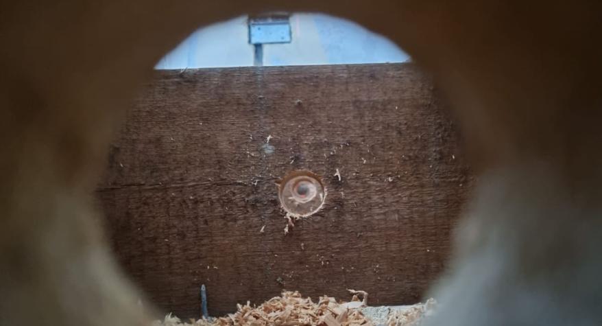Drilling Holes in Joists 